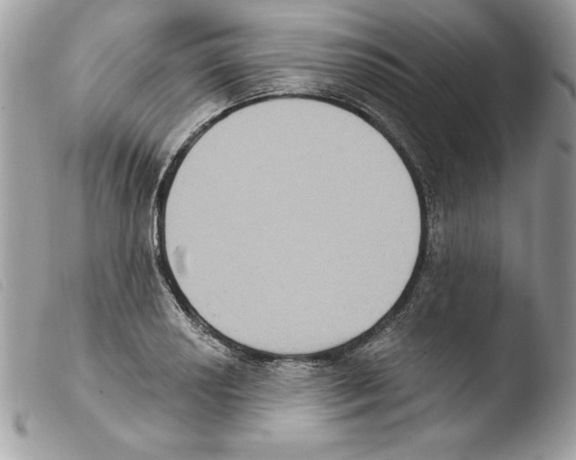 X0000103951034200810171833