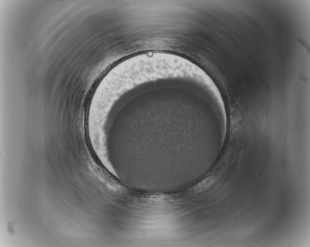 X0000103951035200810171833