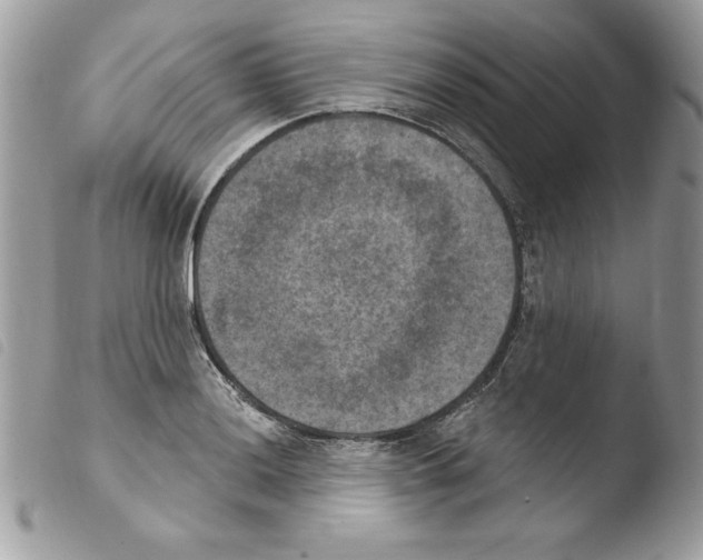 X0000103951036200810171833