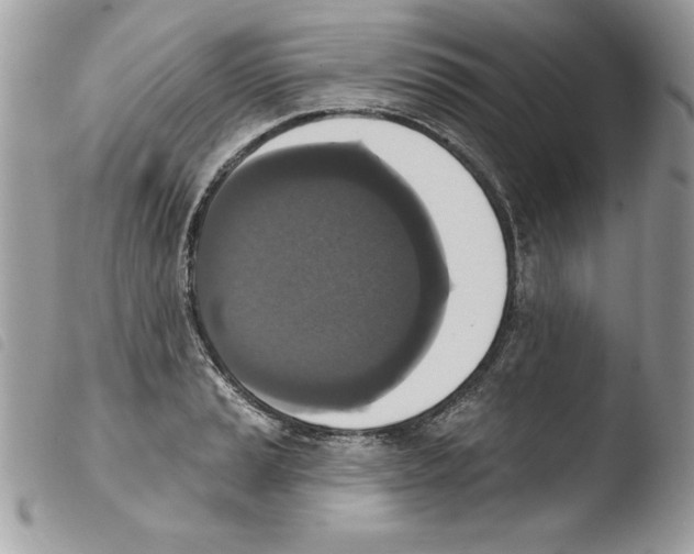 X0000103951037200810171833