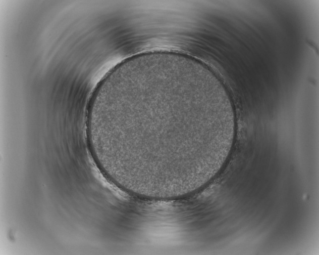 X0000103951038200810171833