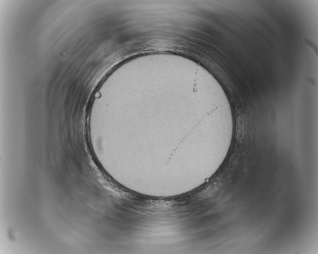 X0000103951039200810171833
