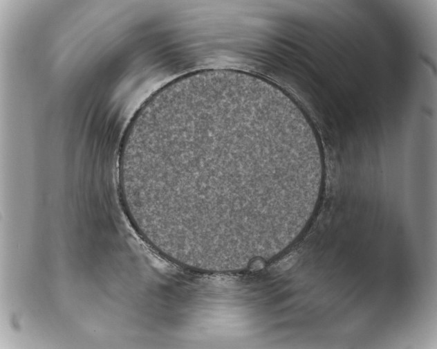 X0000103951040200810171833
