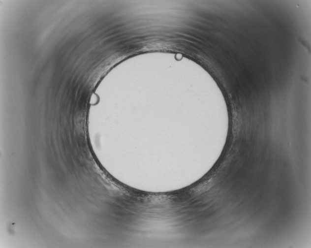 X0000103951041200810171833