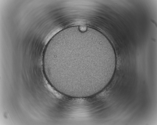 X0000103951042200810171833