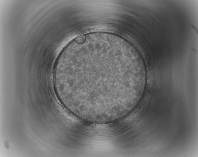 X0000103951043200810171833