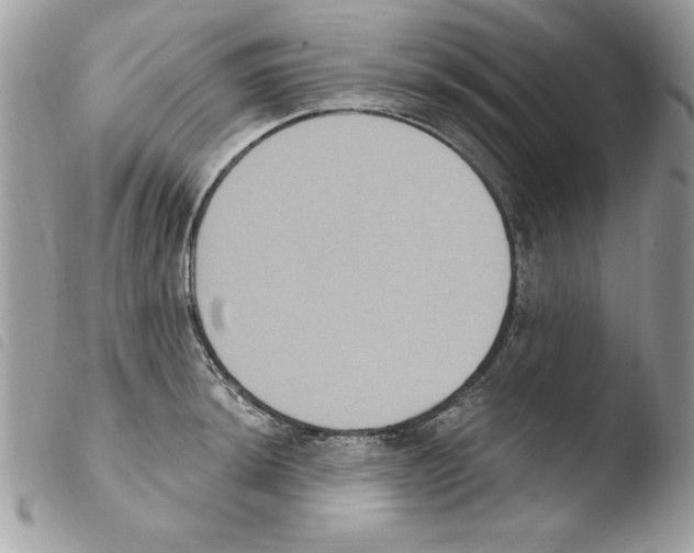 X0000103951044200810171833