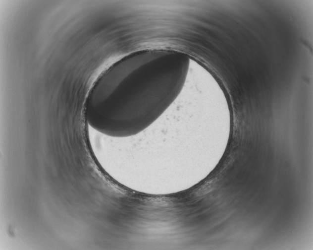 X0000103951045200810171833