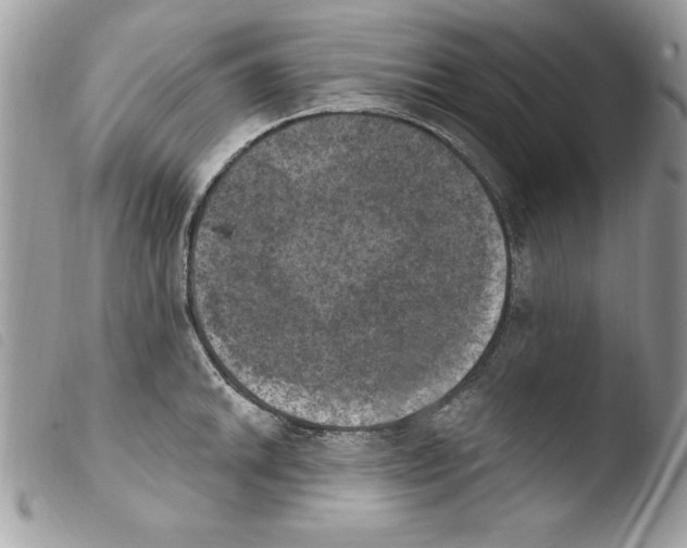 X0000103951046200810171833