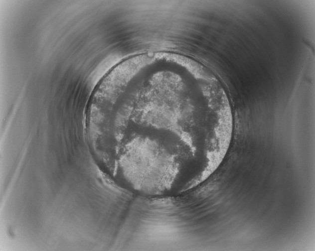 X0000103951047200810171833