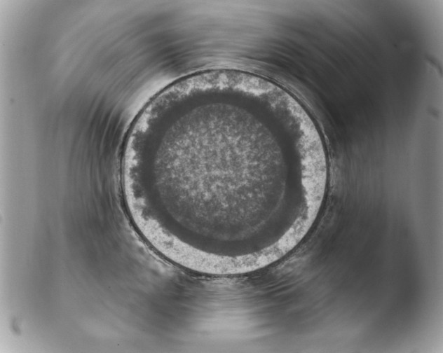 X0000103951048200810171833