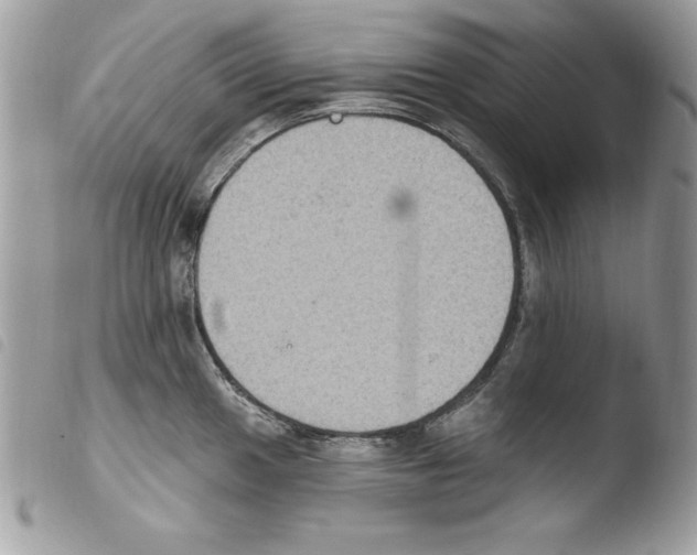 X0000103951049200810171833