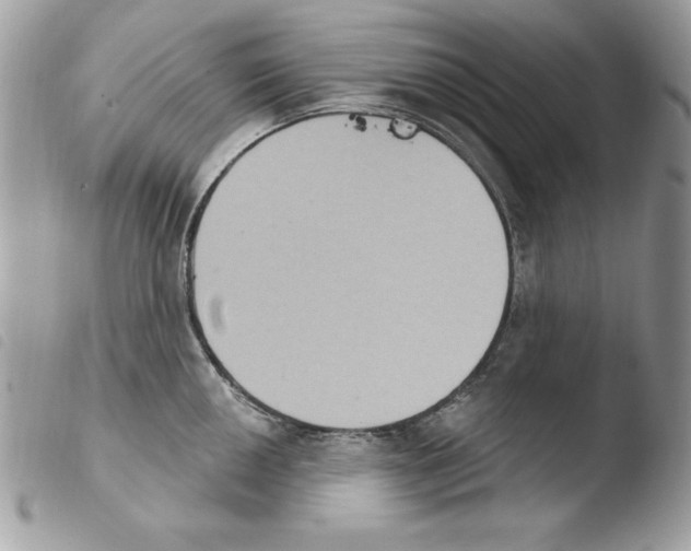 X0000103951050200810171833