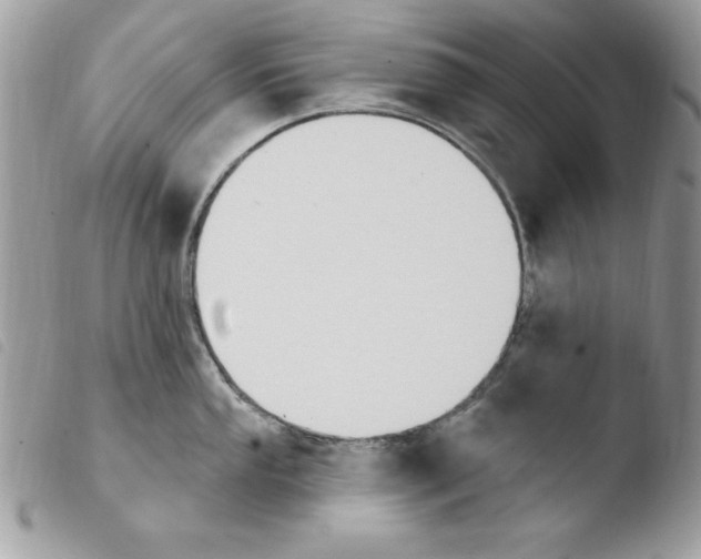 X0000103951053200810171833