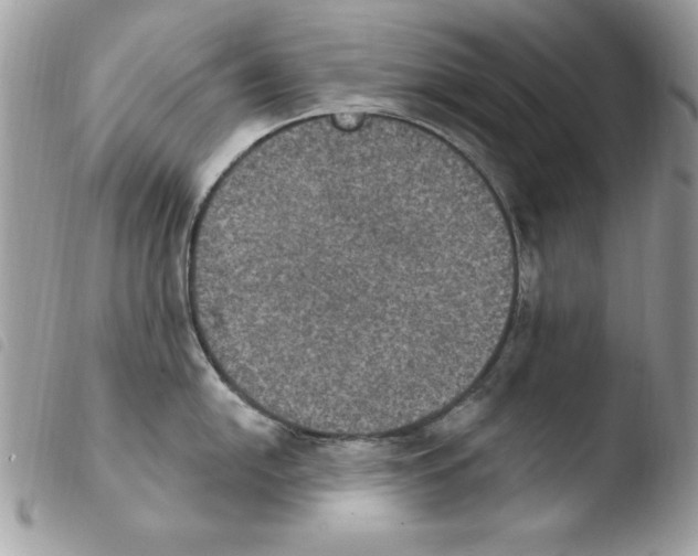 X0000103951054200810171833