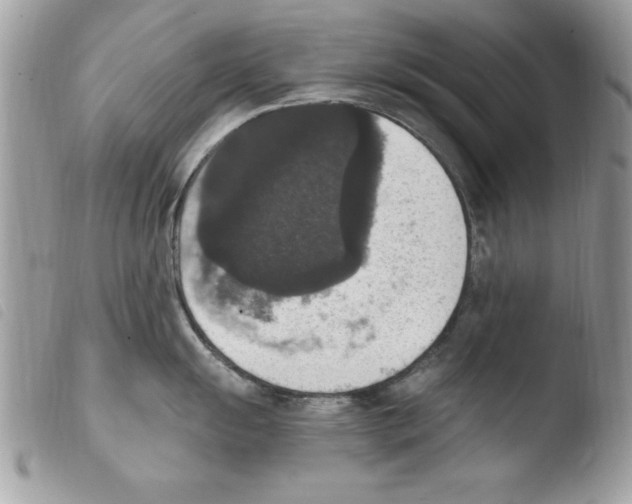 X0000103951055200810171833