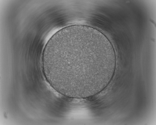 X0000103951056200810171834