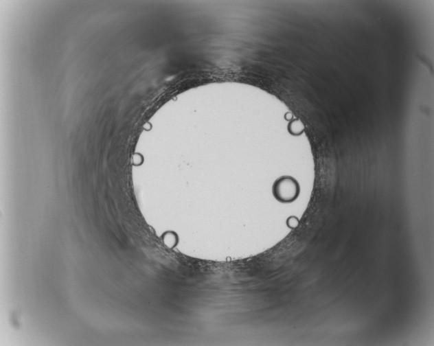 X0000103951057200810171833