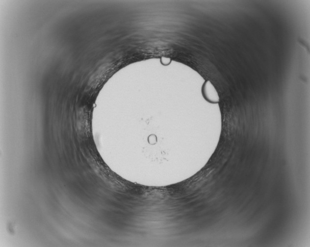 X0000103951058200810171833