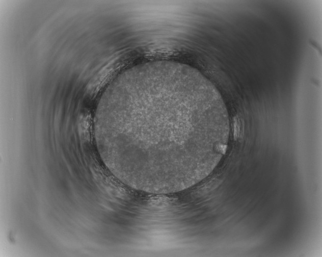 X0000103951059200810171833
