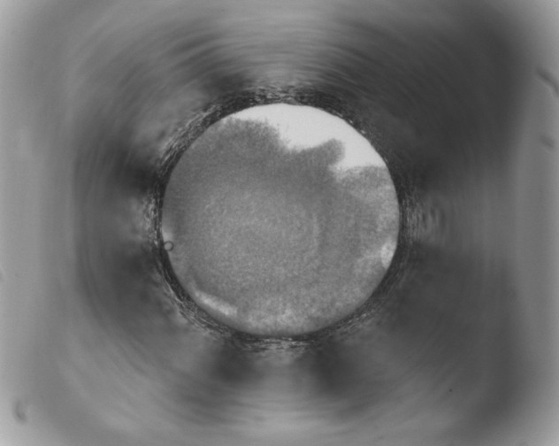 X0000103951060200810171833