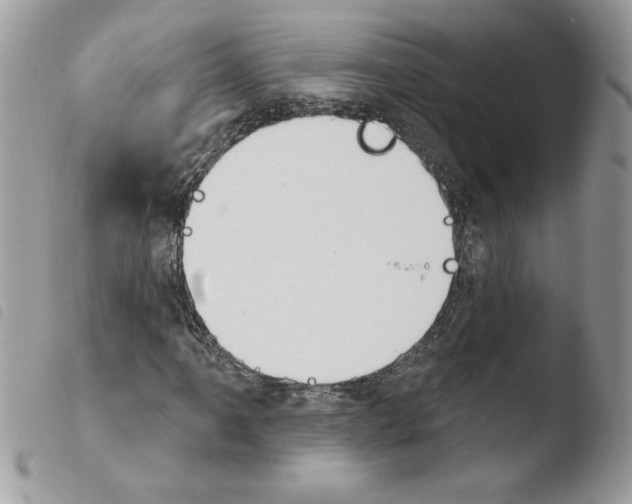 X0000103951061200810171833