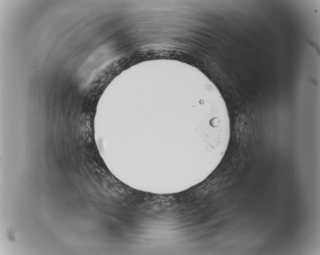 X0000103951062200810171833
