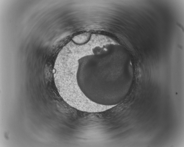 X0000103951063200810171833
