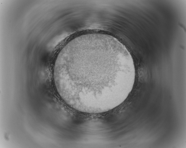 X0000103951064200810171833