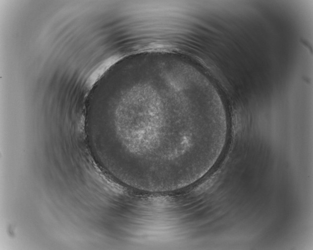 X0000103951066200810171833