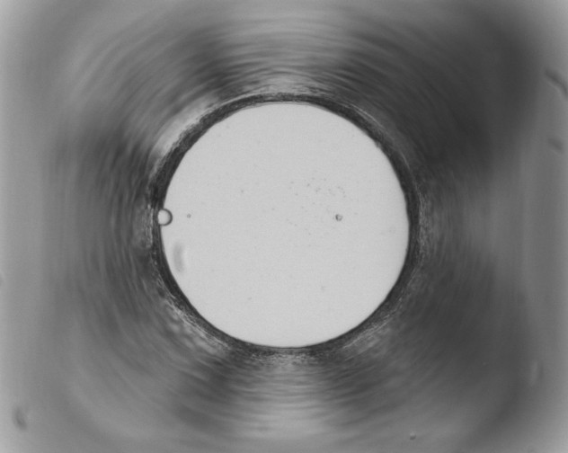 X0000103951067200810171833