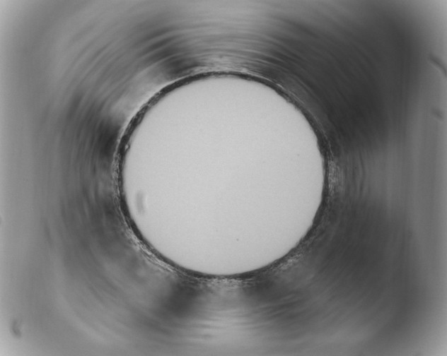 X0000103951068200810171833