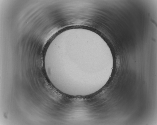 X0000103951069200810171833