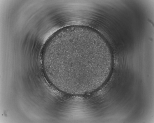 X0000103951070200810171833