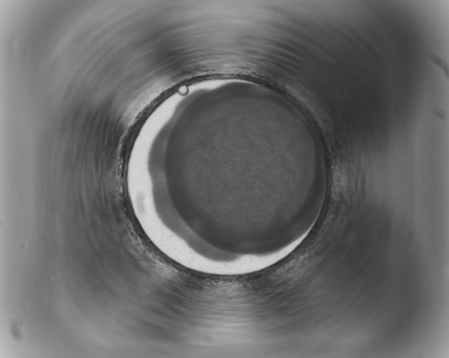 X0000103951071200810171833