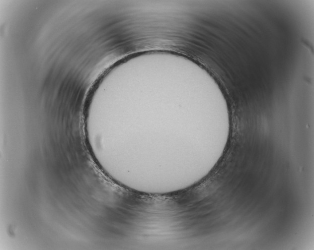 X0000103951072200810171833