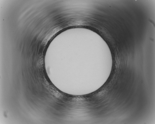 X0000103951073200810171833