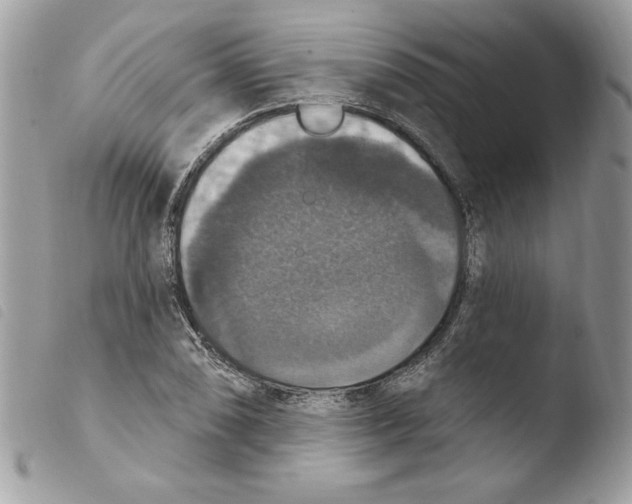 X0000103951074200810171833