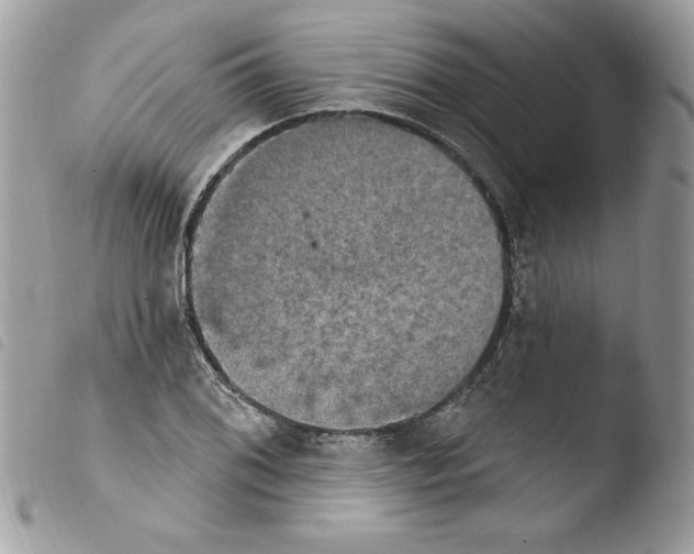 X0000103951076200810171833