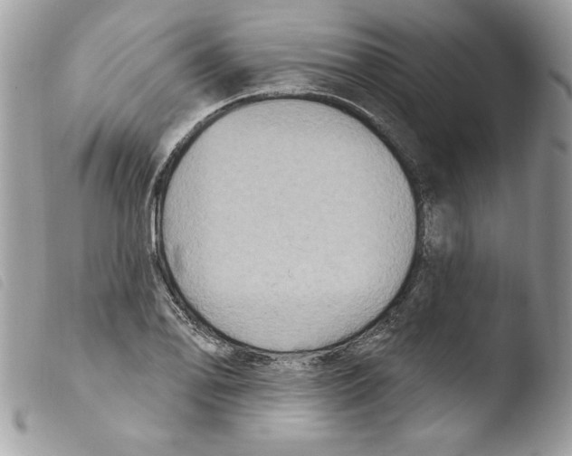 X0000103951078200810171833