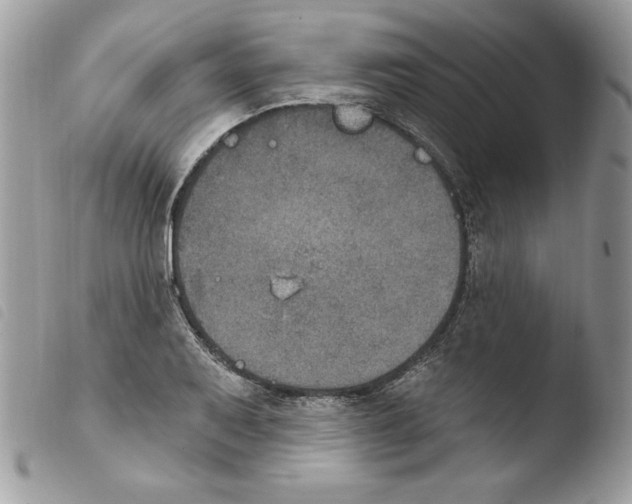 X0000103951079200810171833