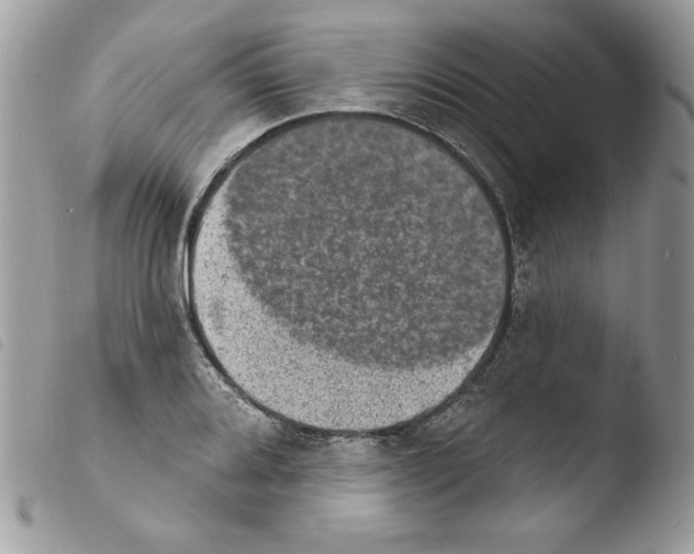 X0000103951080200810171833
