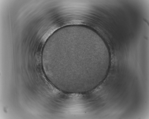 X0000103951081200810171833