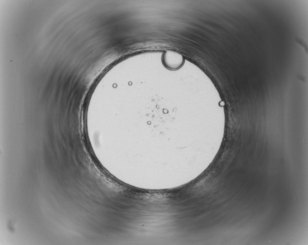 X0000103951082200810171832