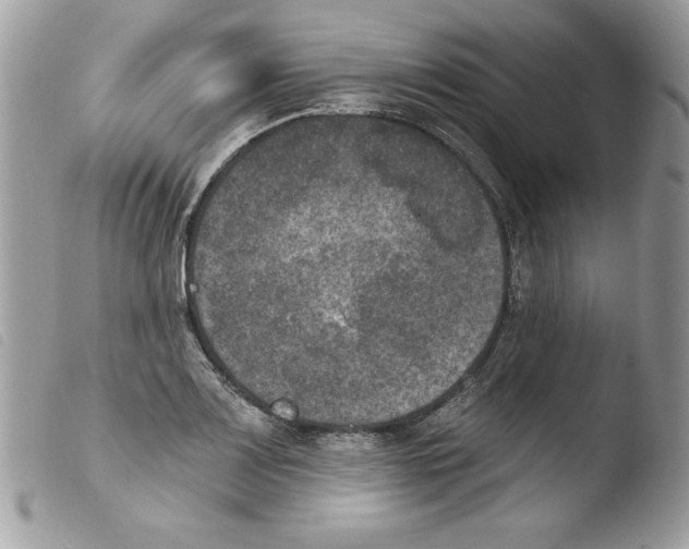 X0000103951083200810171832