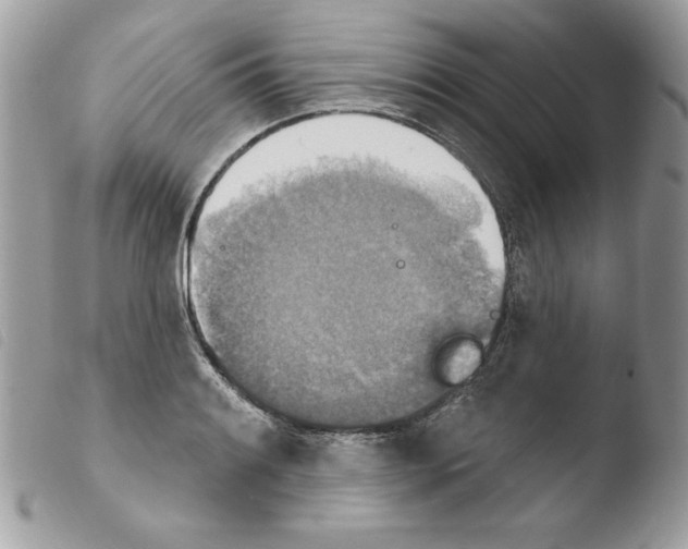X0000103951084200810171832