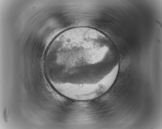 X0000103951086200810171832