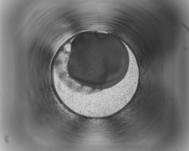 X0000103951087200810171832