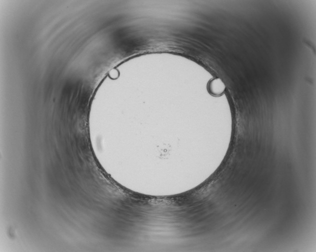 X0000103951089200810171832
