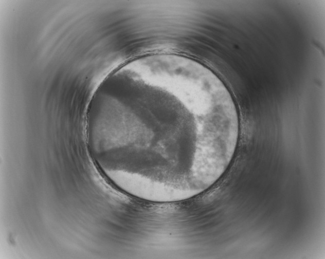 X0000103951090200810171832